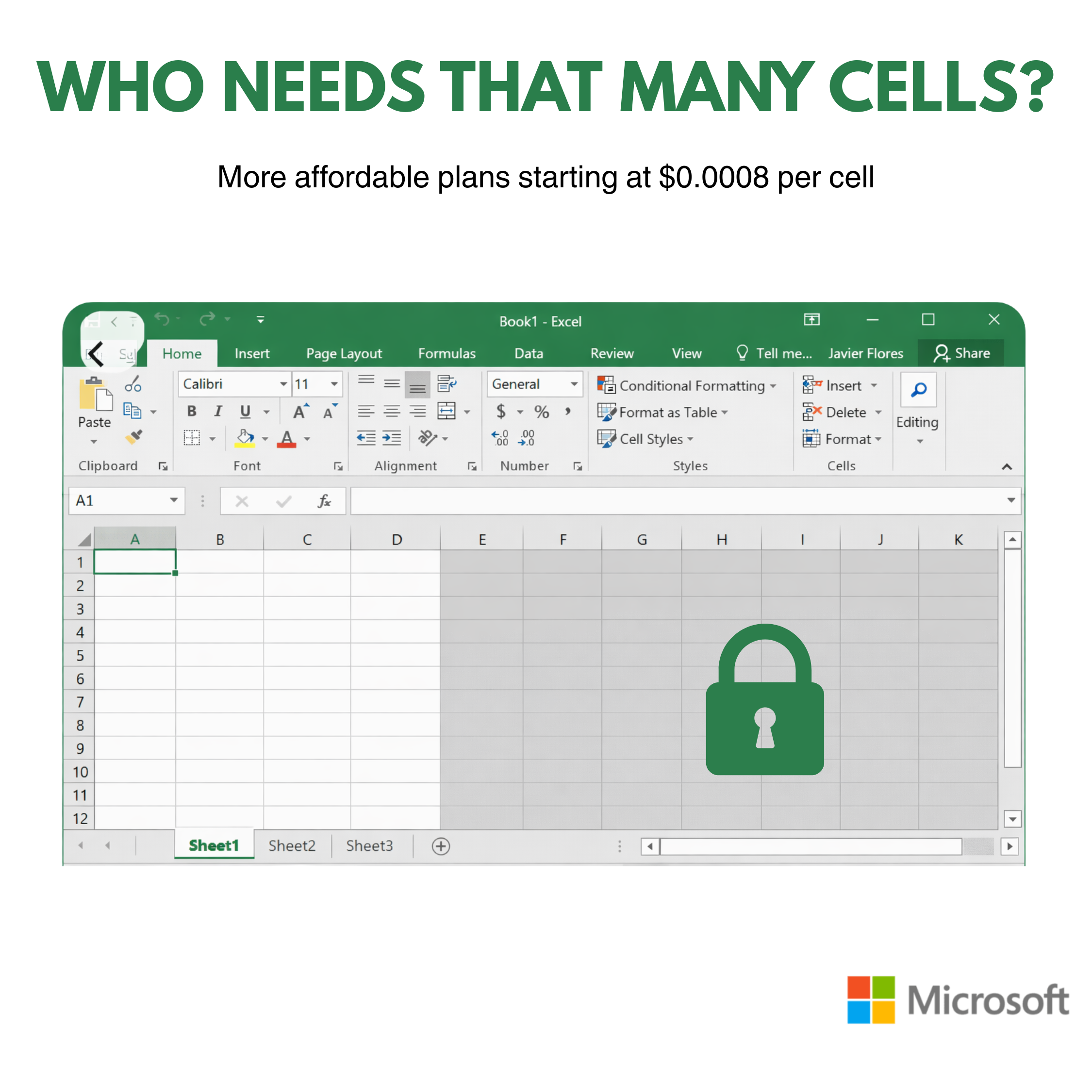 Microsoft Excel spreadsheet